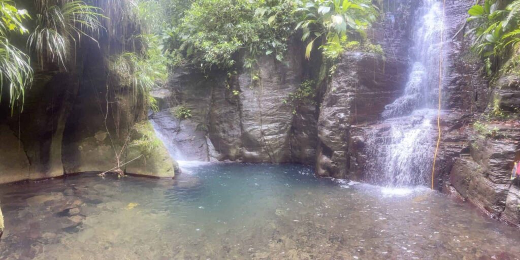 Canyon Bois Malaisé