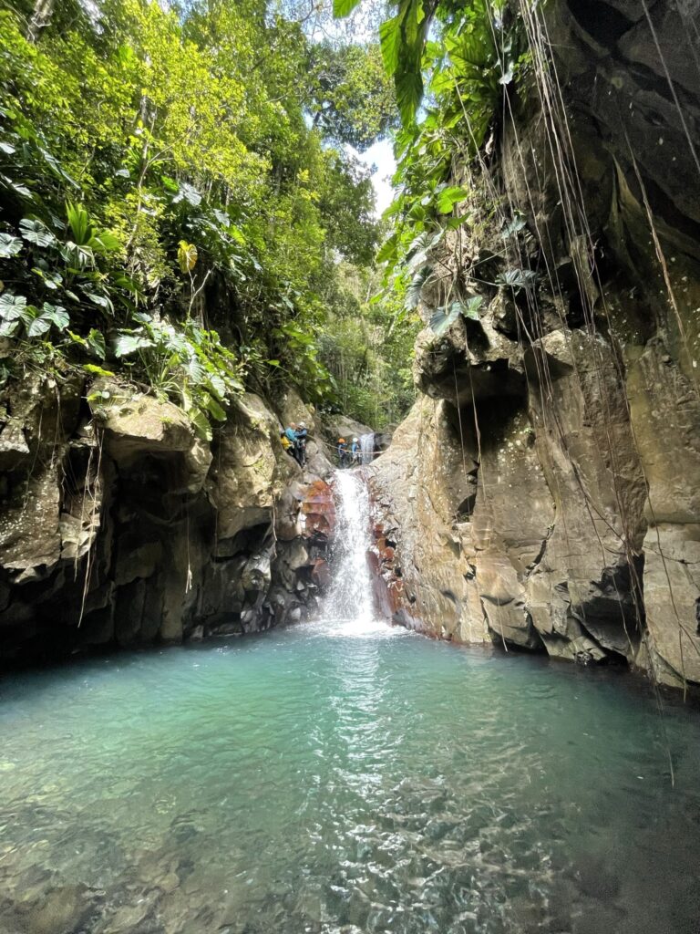 Canyoning et écotourisme en Basse-Terre : une aventure respectueuse de la nature