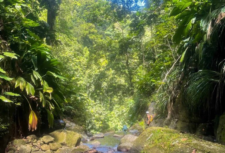 Canyoning expert au Bois Malaisé, Bouillante — journée complète niveau noir