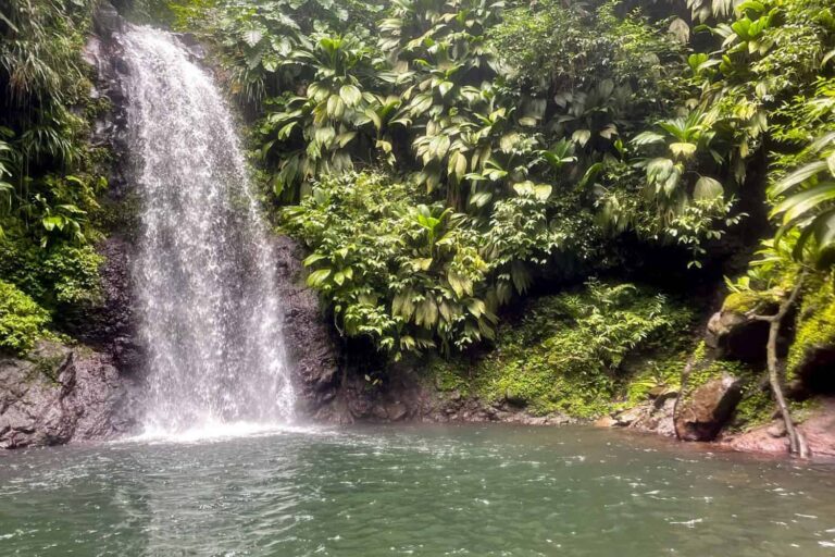 Canyoning expert au Bois Malaisé, Bouillante — journée complète niveau noir